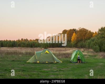 Deux tentes touristiques vertes se tiennent dans le camp près de la forêt de pins. Randonnée en Russie. Banque D'Images