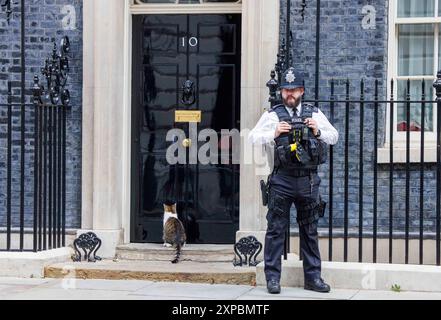 Londres, Royaume-Uni. 5 août 2024. Larry le chat, chef Mouser au bureau du Cabinet, à Downing Street. Larry venait de Battersea Dogs and Cats Home. Il a été décrit comme un bon rateur. Crédit : Karl Black/Alamy Live News Banque D'Images