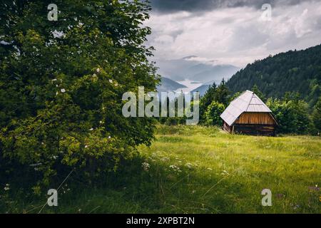 Paysage estival idyllique dans les Balkans, avec une cabane rustique et une prairie dans un village pittoresque niché dans les hautes terres de Tara Banque D'Images