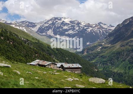 Chalet du berger ; chalets en bois et en pierre dans la vallée des montagnards de Forni. Prairies alpines. Valfurva. Valtellina. Lombardia. Alpes italiennes. Europe. Banque D'Images