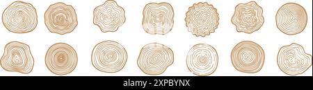 Anneaux d'arbre, texture de tranche de bois dessinée à la main, cercle d'année d'âge d'arbre abstrait, ondulation circulaire en bois de ligne, bois naturel Illustration de Vecteur
