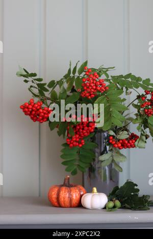 Nature morte d'automne avec rowan, citrouilles décoratives en céramique sur fond de bois vert clair. Décorations intérieures de la saison d'automne. Banque D'Images