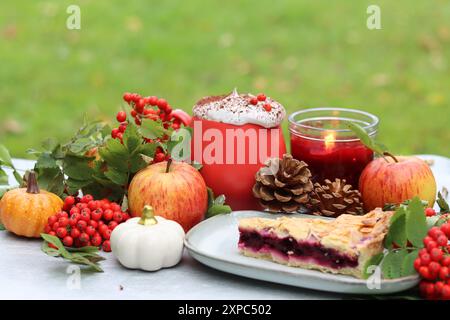 Tarte maison avec des baies et des pommes sur un fond d'herbe verte. Recette de dessert de Thanksgiving. Pique-nique d'automne dans un jardin. Banque D'Images