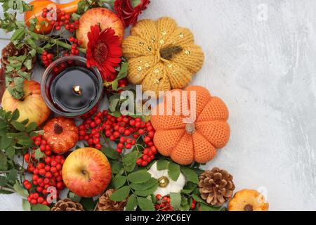 Pommes, citrouilles, cônes, feuilles, baies de rowan sur une table. Photo vue de dessus de la composition d'automne. Concept de saison de récolte. Banque D'Images