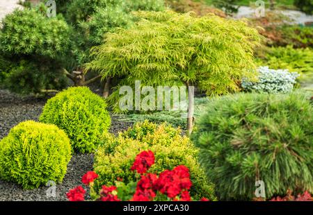 Jardin animé rempli de verdure variée, y compris des arbustes ornementaux et des fleurs colorées, mettant en valeur la beauté de la nature. Banque D'Images