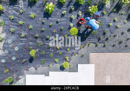 Un jardinier tend à la verdure nouvellement plantée dans un paysage extérieur moderne, assurant une irrigation appropriée tout en profitant d'une journée ensoleillée. Banque D'Images