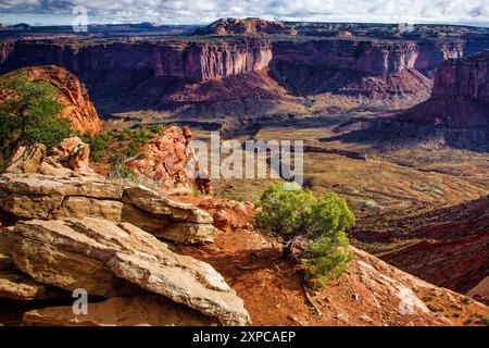 Une scène isolée surplombant Taylor Canyon au sentier Alcove Springs dans le parc national de Canyonlands, Utah. Banque D'Images