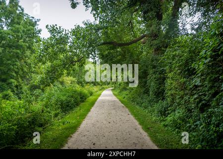 Le sentier de randonnée pittoresque dans la forêt du parc national de Cuyahoga Valley, à Cleveland, une nature typique de l'Ohio. Banque D'Images