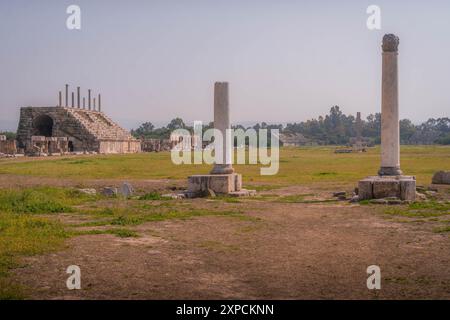 Les colonnes de l'hippodrome de Tyr, un ancien site archéologique de l'UNESCO de l'époque romaine, avec des colonnes, des ruines et des sièges de l'hippodrome au Liban. Banque D'Images