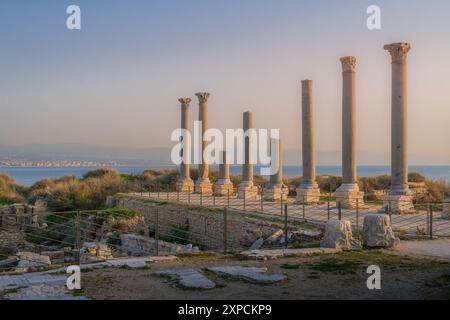 Les anciennes colonnes du site archéologique Al Mina à Tyr (Sour), Liban avec la mer Méditerranée en arrière-plan et vue sur la ville. Banque D'Images