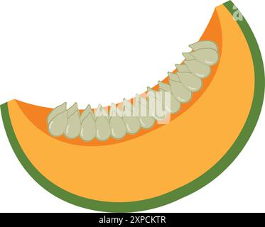 Vecteur de dessin animé de citrouille. Illustration de citrouille. Citrouille décorative, fruit entier et coupé style shabby Illustration de Vecteur