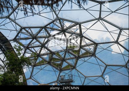 Intérieur du biome de la forêt tropicale montrant la structure hexagonale tubulaire en acier Eden Project Cornwall England UK Banque D'Images