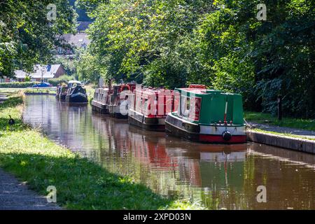 Des bateaux étroits amarrés sur le canal de Llangollen juste à côté de l'aqueduc de Pontcysyllte près de Trevor North Wales, Banque D'Images