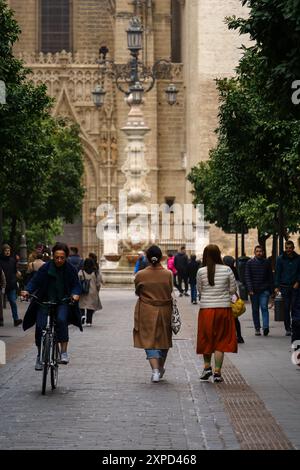 Séville, Espagne. 7 février 2024 - les gens marchent et font du vélo près de la cathédrale de Séville Banque D'Images