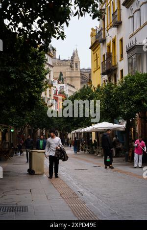 Séville, Espagne. 7 février 2024 - rue de Séville avec des orangers, des restaurants et des gens Banque D'Images