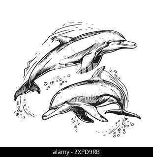 Dessin à la main de dauphins. Illustration d'esquisse. Illustration vectorielle d'un couple mignon de dauphins. Les dauphins sautent hors des vagues. Vie marine. Isolé sur BA blanc Illustration de Vecteur