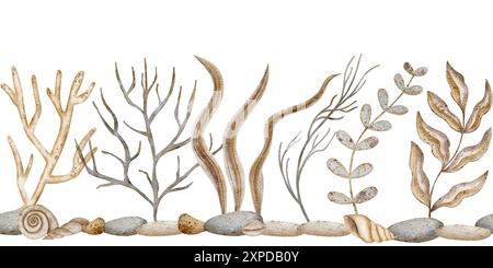 Aquarelle sous-marine frontière sans couture avec des coraux, des algues. Illustration, dessinée à la main sur un fond isolé blanc pour bannière ou papier peint en nautique Banque D'Images