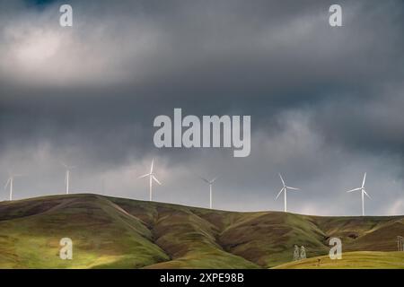 Rangée d'éoliennes ou de moulins à vent sur des collines vallonnées avec de l'herbe verte et avec espace de copie. Banque D'Images