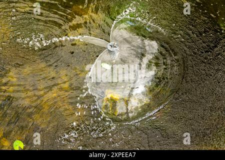 Fontaine décorative dans un petit étang de jardin Banque D'Images