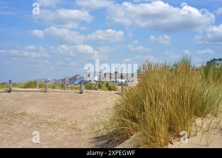 Dunes de sable et dune herbe à la plage de Malo les bains, France Banque D'Images