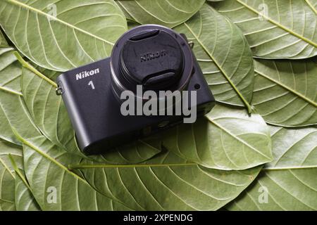 Terengganu, Malaisie - 23 août 2024 : Noir nikon 1 j1 caméra interchangeable sans miroir sur feuilles vertes éparpillées. Capteur de caméra Nikon 1 pouce. Banque D'Images