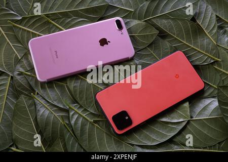 Terengganu, Malaisie - 23 août 2024 : gros plan de pomme rose iphone 7 plus et orange google pixel 4 sur feuilles vertes éparpillées Banque D'Images