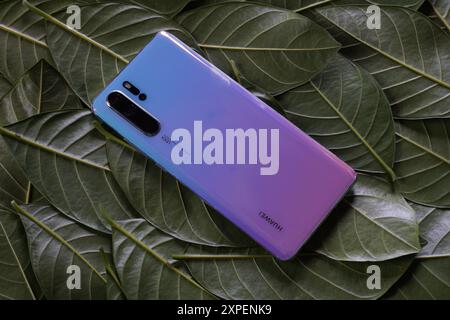 Terengganu, Malaisie - 23 août 2024 : gros plan sur le panneau arrière des téléphones pro huawei p30 sur des feuilles vertes éparpillées. Couleurs bleu Aurora. Banque D'Images