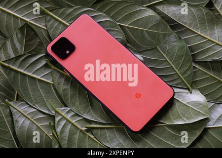 Terengganu, Malaisie - 23 août 2024 : gros plan de google pixel 4 orange sur des feuilles vertes éparpillées. Panneau arrière google pixel 4. Banque D'Images