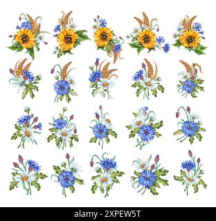 Boutonnières de tournesol, bleuet, camomille et épis de blé - grand ensemble d'illustration aquarelle. L'élément de composition botanique de fleur sauvage est Banque D'Images