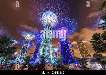 Magnifique vue de fond de nuit sur les Supertrees à Singapour Banque D'Images