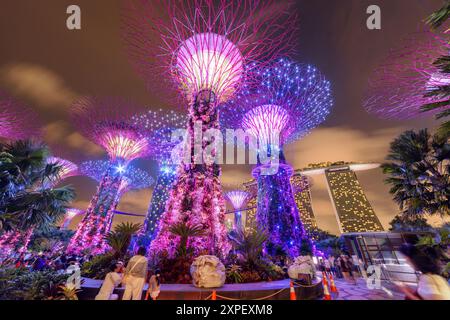 Incroyable vue de fond de nuit sur les Supertrees à Singapour Banque D'Images