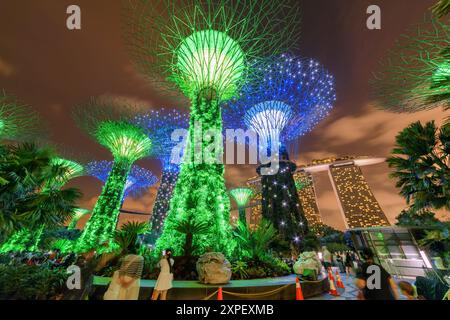 Superbe vue de fond de nuit sur les Supertrees à Singapour Banque D'Images