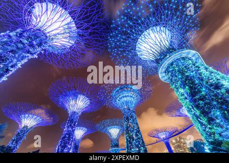 Vue de fond nocturne des Supertrees et du Skyway, Singapour Banque D'Images