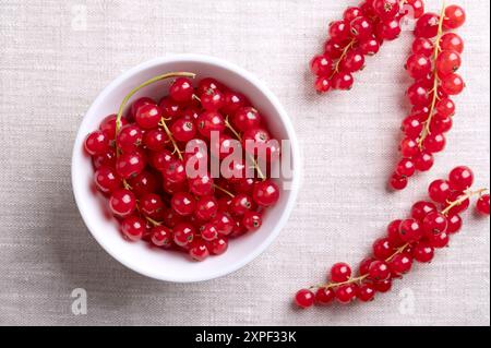 Baies de groseille rouge, groseilles fraîches mûres et crues dans un bol blanc sur tissu de lin. Prêt à manger fruits comestibles sphériques de Ribes rubrum. Banque D'Images