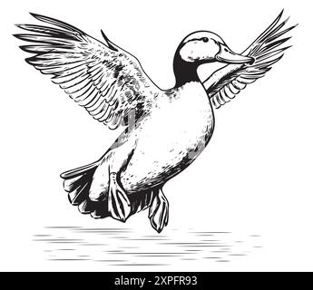 Dessin de canard volant illustration vectorielle peinte chasse aux oiseaux Illustration de Vecteur