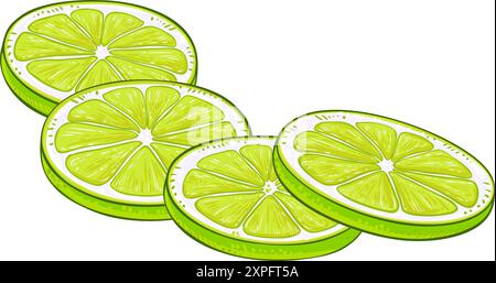 Illustration détaillée colorée de fruit de citron vert Illustration de Vecteur