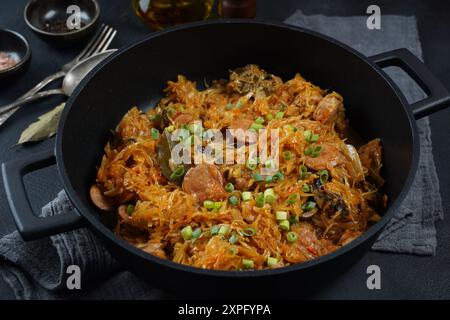 Bigos - plat polonais traditionnel de viande hachée à la viande choucroute et chou frais râpé Banque D'Images