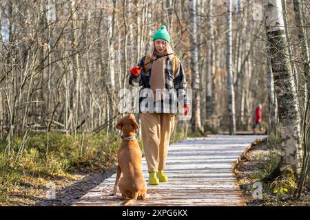 Formation sérieuse de voyageur féminin, jouant avec le chien avec le bâton dans la forêt d'automne sur le sentier en bois. Banque D'Images