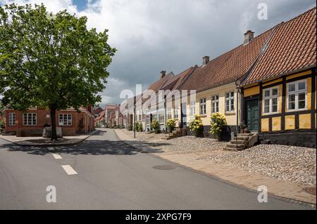 Rue pavée avec de pittoresques vieilles maisons et roses jaunes à Middelfart, Danemark, 12 juin 2024 Banque D'Images