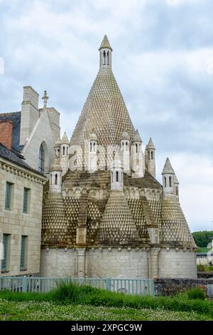 Cuisine de l’Abbaye de Fontevraud, construite de 1105 à 1160, Fontevraud-l’Abbaye, Val de Loire Banque D'Images