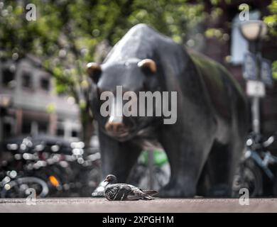 06 août 2024, Hesse, Francfort-sur-le-main : L'ours, symbole de la chute des cours boursiers, se dresse comme une sculpture en bronze avec le taureau sur une place devant le bâtiment de la Bourse de Francfort. Photo : Frank Rumpenhorst/dpa Banque D'Images