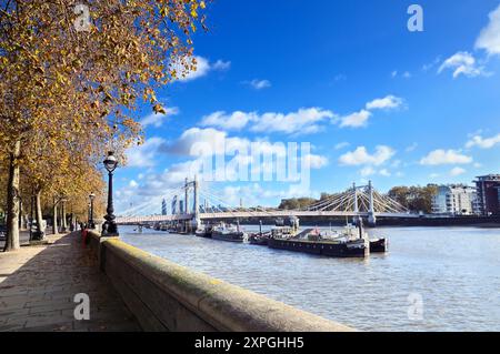 Le célèbre Albert Bridge enjambant la Tamise reliant Chelsea et Battersea vu depuis Chelsea Embankment par un jour ensoleillé d'automne, Londres, Royaume-Uni. Banque D'Images