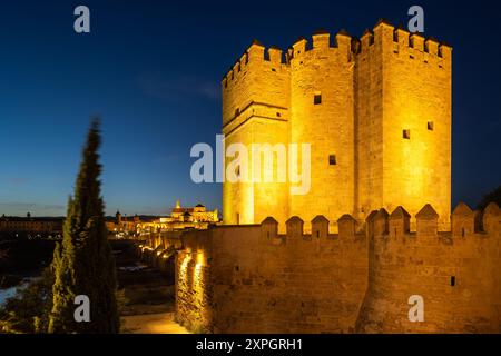 Torre de la Calahorra, tour, Cordoue, Andalousie, Espagne Banque D'Images