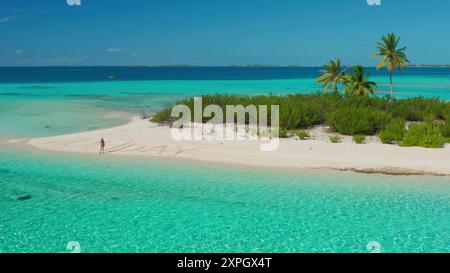 Images de drone aérien d'une belle femme debout sur une plage de sable blanc immaculé avec une végétation tropicale et des palmiers, entourée d'une eau cristalline turquoise Banque D'Images