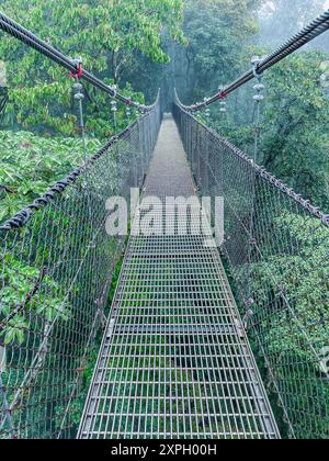 Pont Hangig à Mistico Arenal Hanging Bridges Banque D'Images