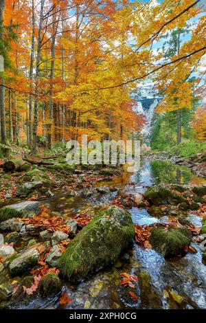 Scène d'automne captivante près du lac Hinterer Langbathsee. Destination de voyage populaire. Localisation : Vorderer Langbathsee, région de Salzkammergut, haute Austr Banque D'Images