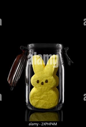 Un lapin jaune Peep de Pâques dans un pot de stockage en verre ou de mise en conserve isolé sur noir avec réflexion, avec couvercle ouvert. Banque D'Images