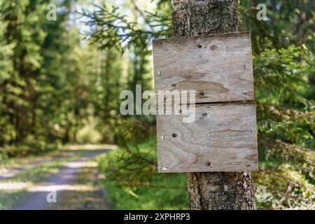 Panneau vide en bois à côté d'une route forestière en Finlande Banque D'Images