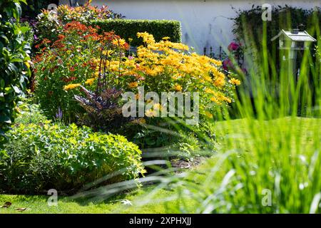 Insektenfreundlicher Garten mit Stauden, wie Sonnenbraut und Staudensonnenblume, sowie Formgehölzen. Bienenfreundlicher Staudengarten *** jardin respectueux des insectes avec des plantes vivaces telles que les tournesols et les tournesols vivaces, ainsi que des topiaires jardin vivaces respectueux des abeilles 20240806-DSC 3421 Banque D'Images