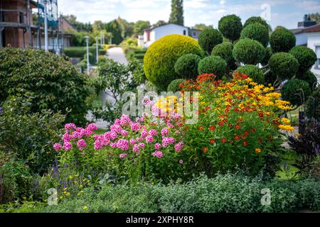 Insektenfreundlicher Garten mit Stauden, wie Phlox, Sonnenbraut und Staudensonnenblume, sowie Formgehölzen. Bienenfreundlicher Staudengarten *** jardin respectueux des insectes avec des plantes vivaces telles que le phlox, le tournesol et le tournesol vivaces, ainsi qu'un jardin vivaces topiaire respectueux des abeilles 20240806-DSC 3468 Banque D'Images